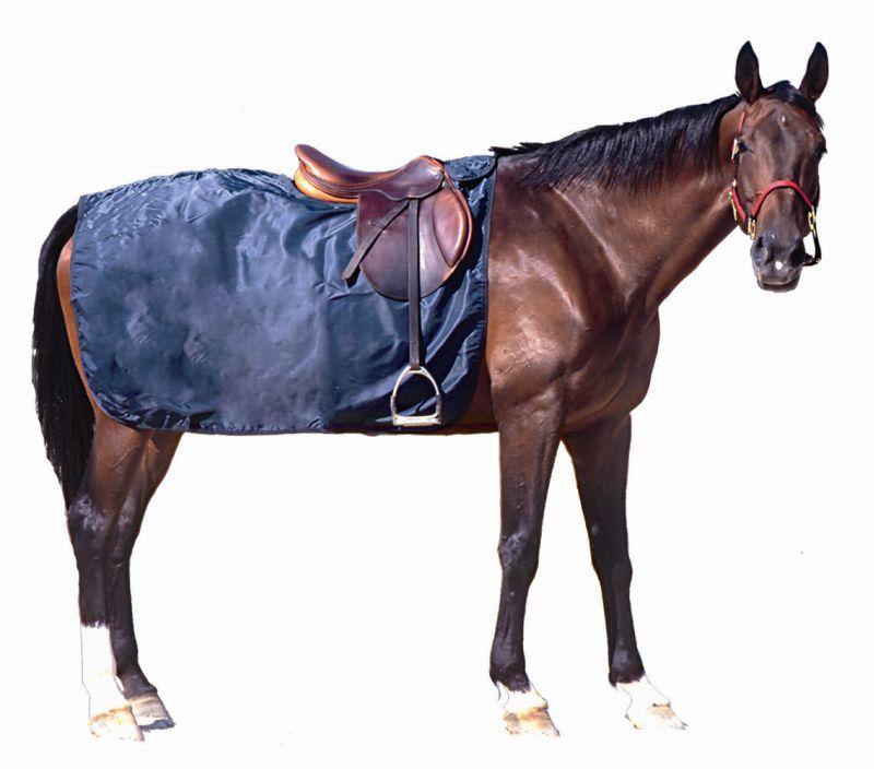 Daslo Couvre Reins Impermeble S - SHOPHORSE